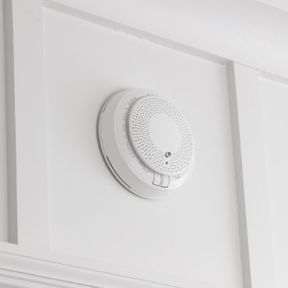 Duluth smoke detector adt