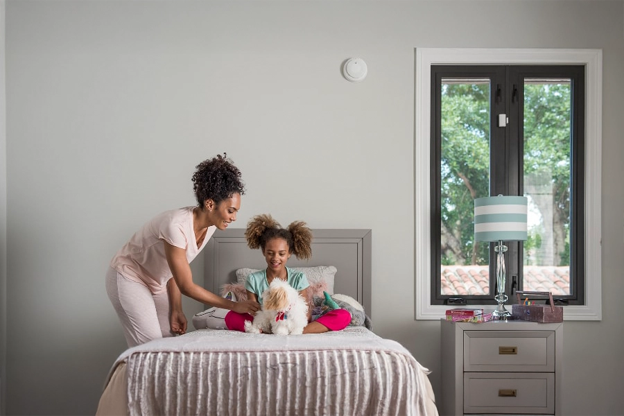 smoke & carbon detector Duluth